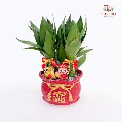 CNY Potted Plant Arrangement 2025#2