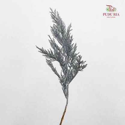Cedar X mas Dyed Color Silver - (Per Bundle)