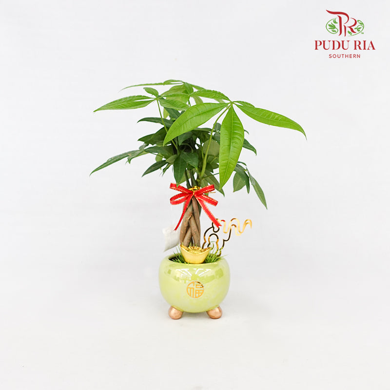 CNY Potted Plant Arrangement 2024#20