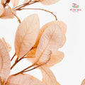Dry Chestnut Leaf