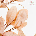 Dry Chestnut Leaf