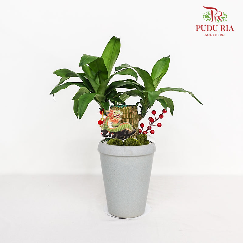CNY Potted Plant Arrangement 2024#85