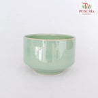 JT-266 Green Pot