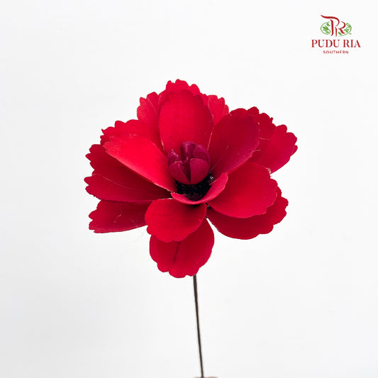 Dry Wood Peony Red - 4 Stems