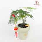 CNY Potted Plant Arrangement 2024#31