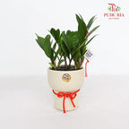 CNY Potted Plant Arrangement 2024#30