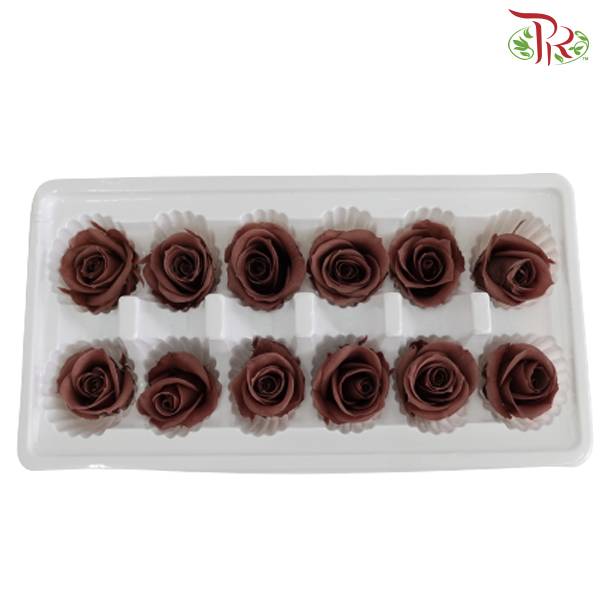 12 Bloom Preservative Rose - Brown - Pudu Ria Florist Southern