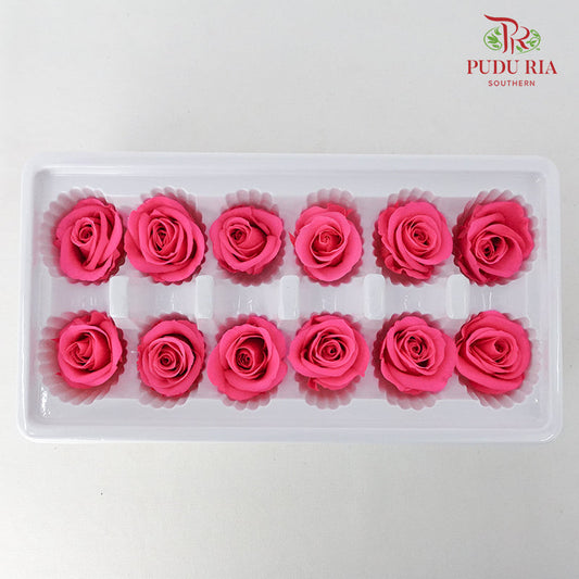 12 Bloom Preservative Rose - Hot Pink - Pudu Ria Florist Southern