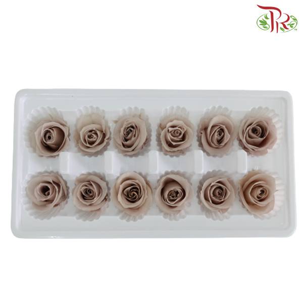 12 Bloom Preservative Rose - Light Brown - Pudu Ria Florist Southern