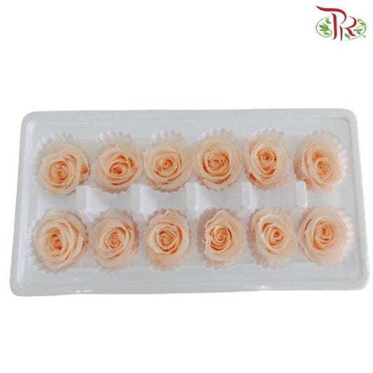 12 Bloom Preservative Rose - Light Peach - Pudu Ria Florist Southern