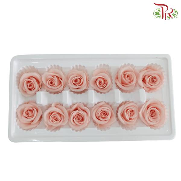 12 Bloom Preservative Rose - Light Pink - Pudu Ria Florist Southern