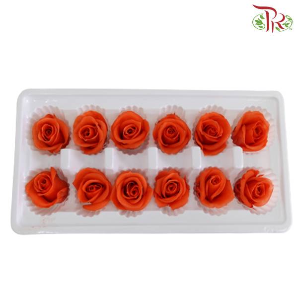 12 Bloom Preservative Rose - Orange - Pudu Ria Florist Southern