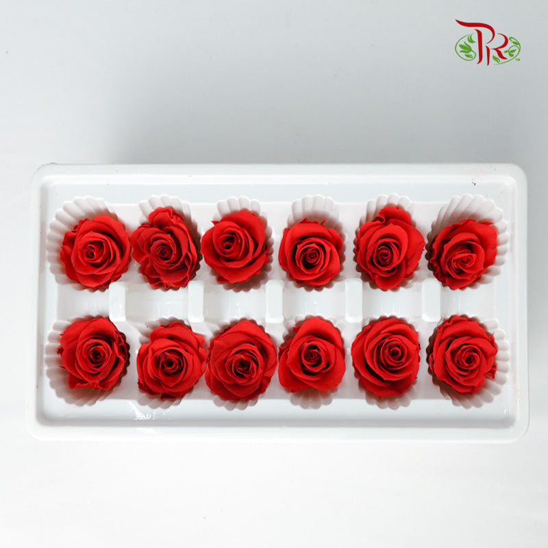 12 Bloom Preservative Rose - Red - Pudu Ria Florist Southern