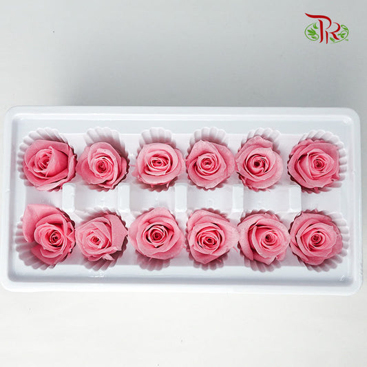 12 Bloom Preservative Rose - Soft Pink - Pudu Ria Florist Southern