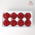 8 Bloom Carnation - Brown - Pudu Ria Florist Southern
