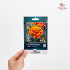 Flowers & Herbs Seeds