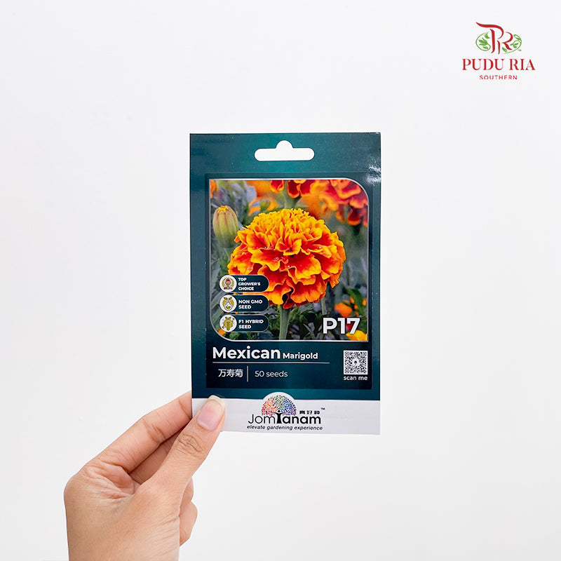 Flowers & Herbs Seeds