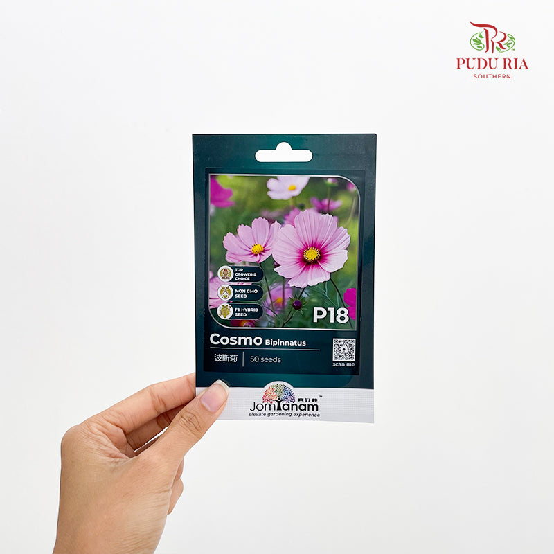 Flowers & Herbs Seeds