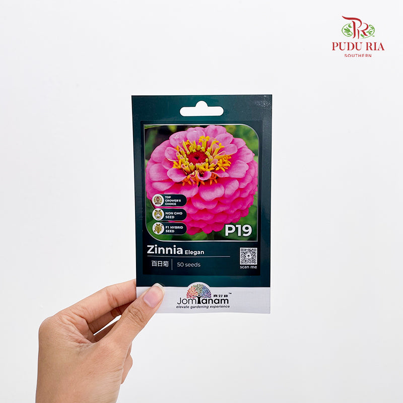 Flowers & Herbs Seeds