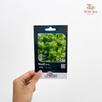 Flowers & Herbs Seeds