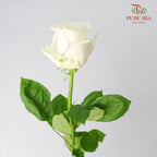 Rose Playa Blanca (8-10 Stems) - Pudu Ria Florist Southern