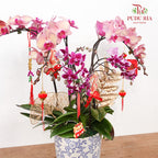 CNY Potted Plant Arrangement 2024#72