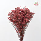 Dry Caspia - Reddish Red