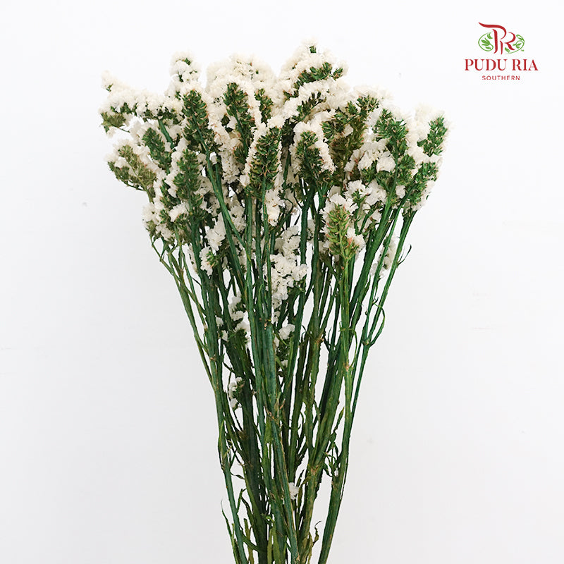 Dry Statice - White