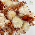 Dry Bouquet - Light Brown