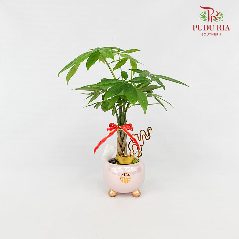 CNY Potted Plant Arrangement 2024#20