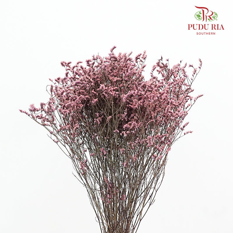 Dry Caspia - Pink