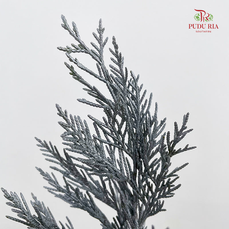 Cedar X mas Dyed Color Silver - (Per Bundle)