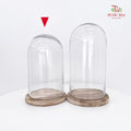 Cloche Bell Jar (25CM - 30CM)