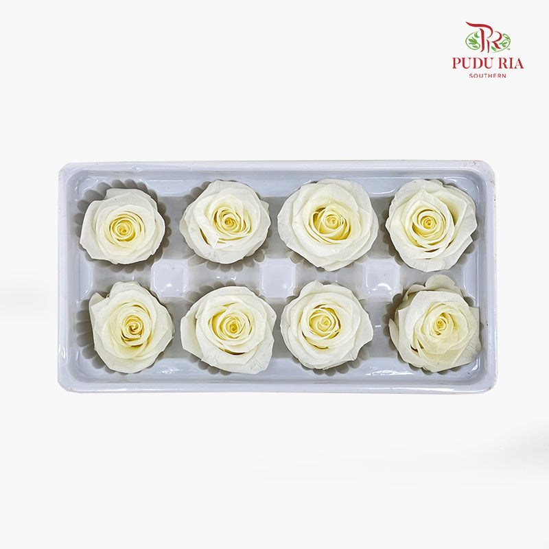 8 Bloom Preservative Rose - Soft Yellow