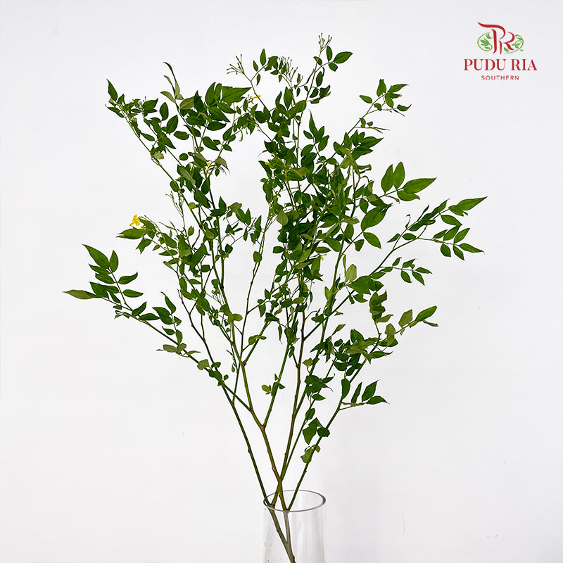 Nine Star leaves Flower - (Per Bundle)