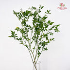 Nine Star leaves Flower - (Per Bundle)