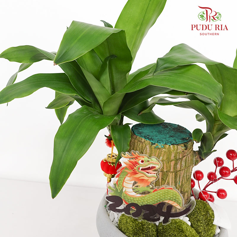 CNY Potted Plant Arrangement 2024#85