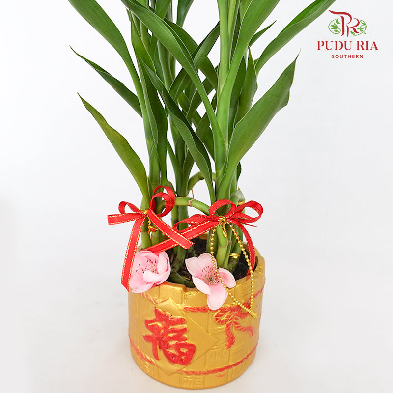 CNY Potted Plant Arrangement 2024#15