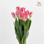 Tulip Pink 郁金香 - (8-10 Stems)