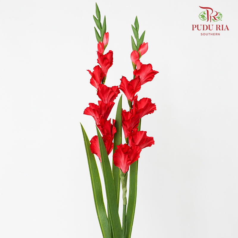 CNY Artificial Gladiolus 92cm - Red (2 Stems)