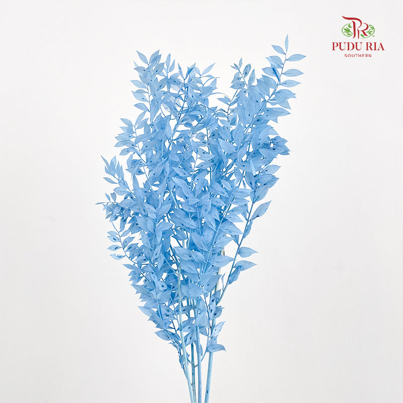 Dry Ruscus Dyed - Light Blue