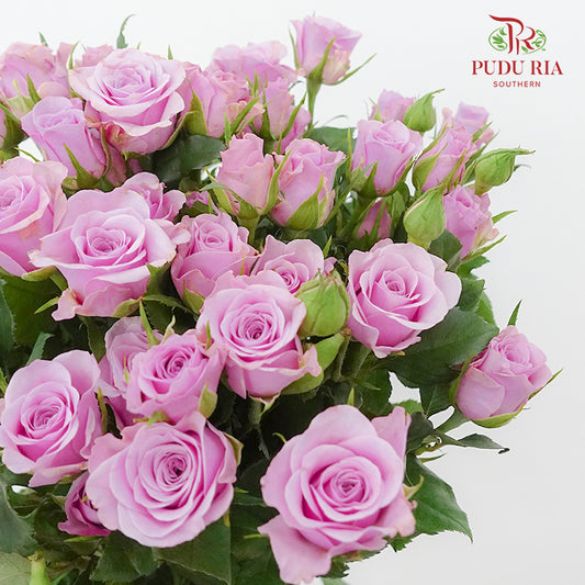 Rose Spray Nola (8-10 Stems) - Pudu Ria Florist Southern