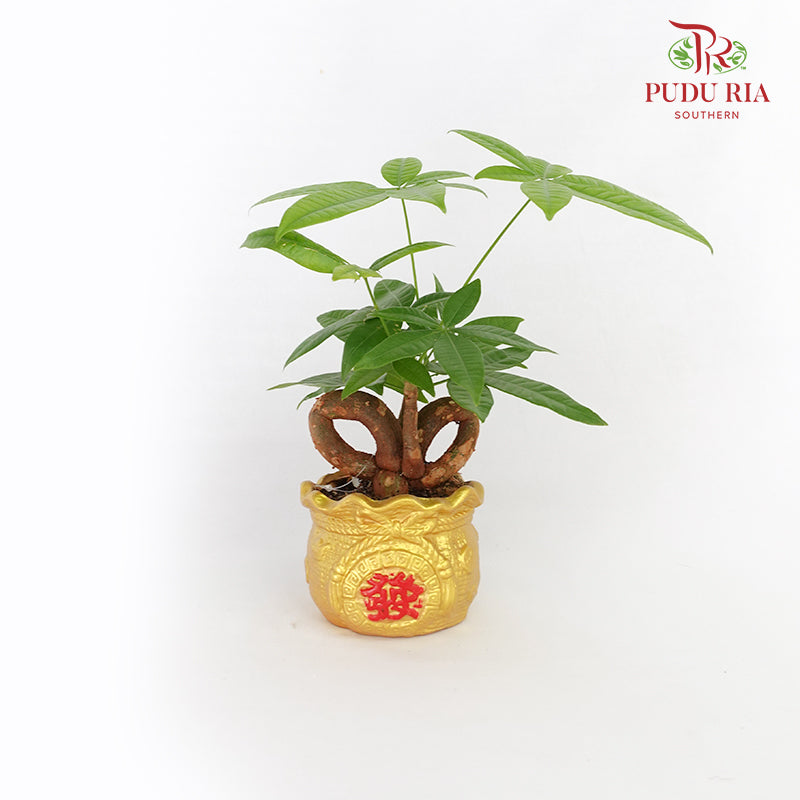 CNY Potted Plant Arrangement 2024#9