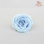 25 Bloom Awalking Soap Flower Light Blue - FBA089#6