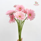 Gerbera Soft Pink Green Heart - (8-10 Stems)