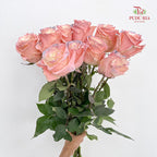 Rose Mondial Dyed Cute Star 2 - (8-10 Stems)
