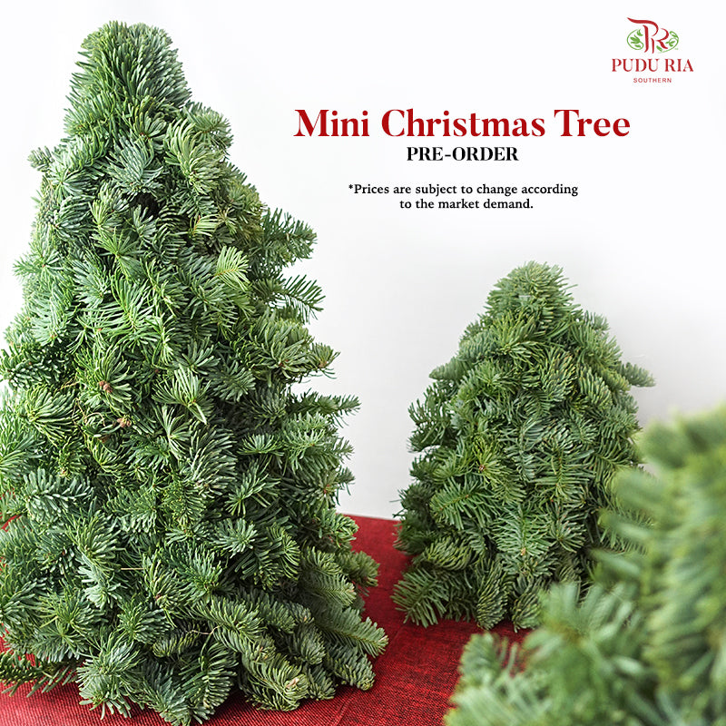 Mini Christmas Tree (30-60 CM)