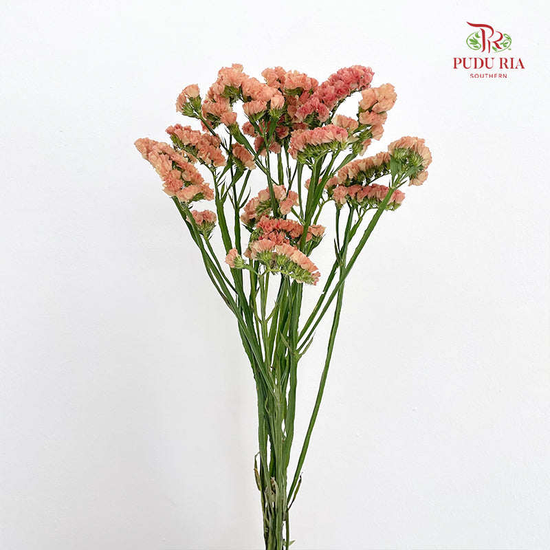 Statice (Limonium Sinuatum) Orange 勿忘我 - (5 Stems)