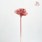 Dry Small Pomegranate Flower - Light Brown