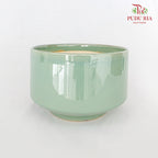 JT-266 Green Pot